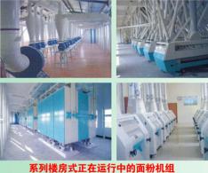 大型楼房式面粉加工设备