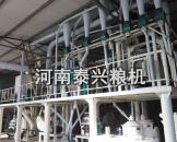 河北50吨玉米加工设备