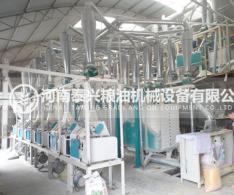 玉米黄金粉加工设备