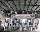 贵州威宁草海日处理30吨荞麦加制粉设备