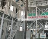 山东德州100吨玉米加工设备安装