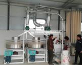 鹤壁淇县双组石磨面粉机成功案例